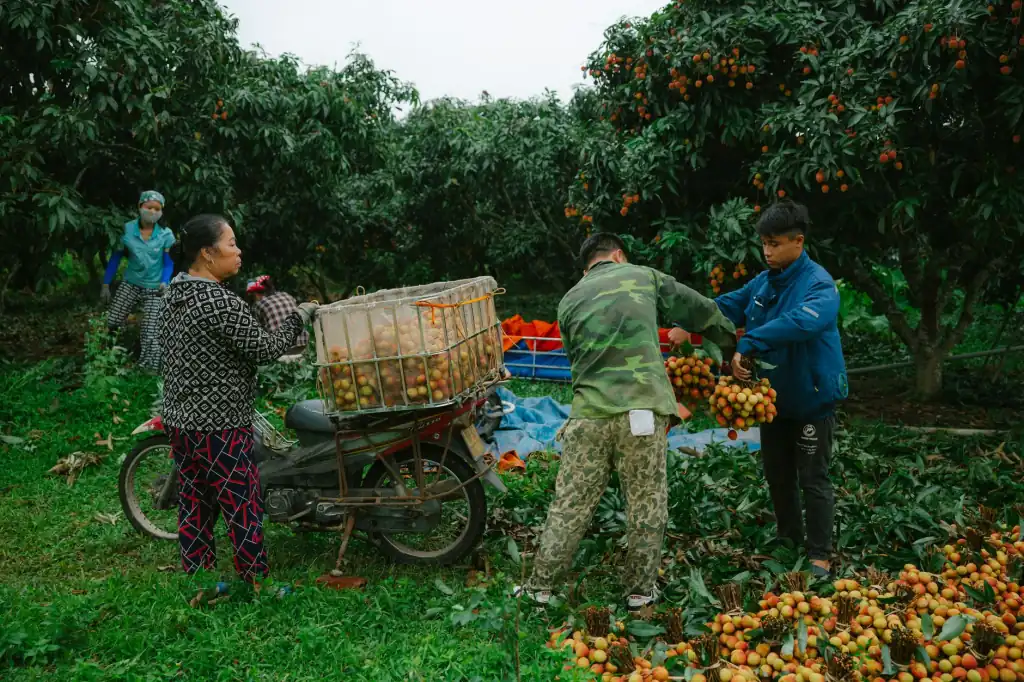 广告策划与活动执行一体化方案：海南企业品牌推广实战案例