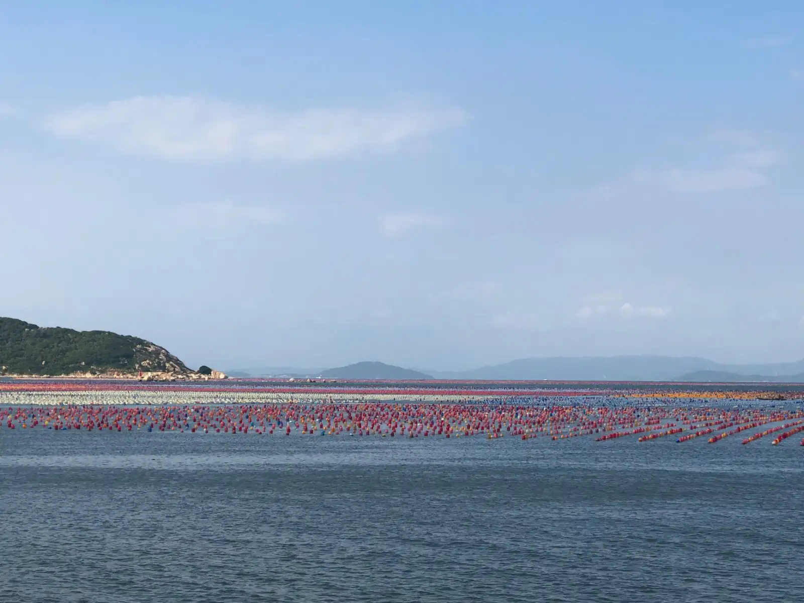 海口胜雅电广告活动执行方案设计：品牌推广与市场落地的实践案例