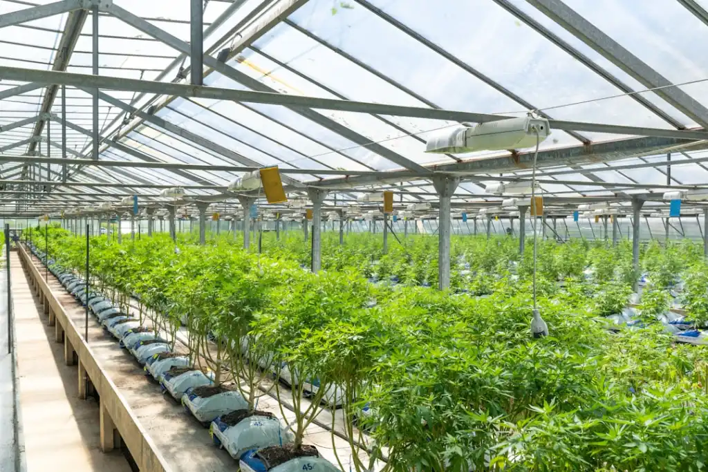 海口胜雅电广告品牌推广方案设计：助力海南企业市场知名度提升