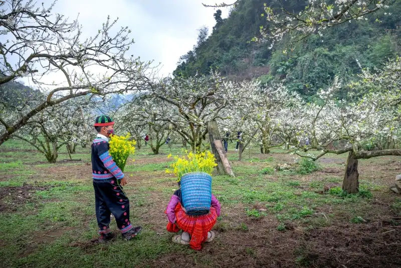 海口广告策划与品牌推广服务的协同落地策略解析